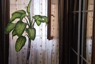 Tineretului -Timpuri Noi  vanzare ap. 2 cam dec - 20