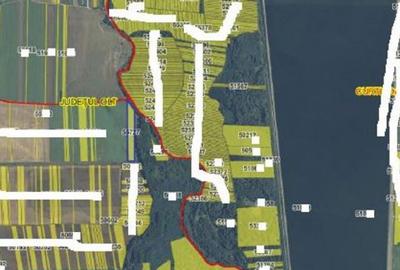 Teren extravilan 5000 mp Loc Plesoiu, Jud Olt - 3