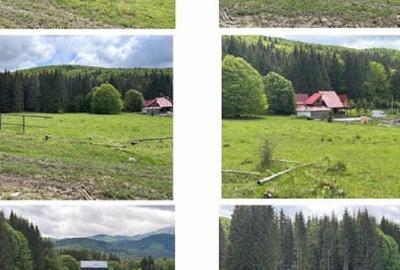 Teren intravilan de 5000 mp, în Valea Doftanei - 2