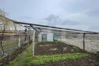 Casă cu 3 camere cu Teren 9300 Mp în Vadu Moldovei - 6