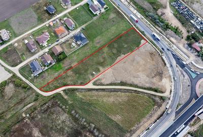 Teren intravilan de 6643 mp, în Oșorhei - 4