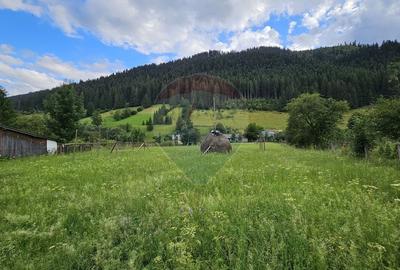 Casa 225 mp, teren intravilan 4822 mp C. Moldovenesc, Suceava - 19