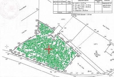 Teren 1130 mp Satul Malu Mierii, comuna Glodeni, Dambovita - 8
