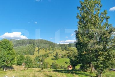 Teren de 2500 mp, în Central