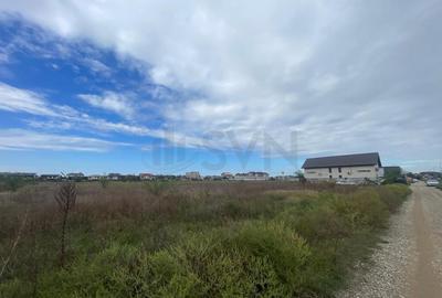 Teren de Otopeni Lidl Teren de Otopeni Lidl - 6