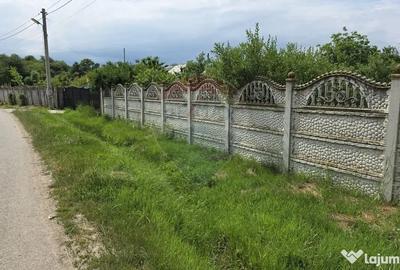 Casă cu 3 camere cu Teren 5063 Mp în Uzunu - 2