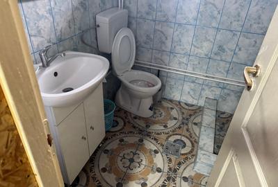 Casă cu 6 camere cu Teren 2126 Mp în Roșiori - 6