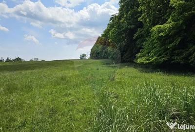 Teren de 7000 mp, în Ilișești - 13