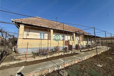Casa cu teren de 5400 mp intravilan de vanzare, loc. Dileu Vechi - 10