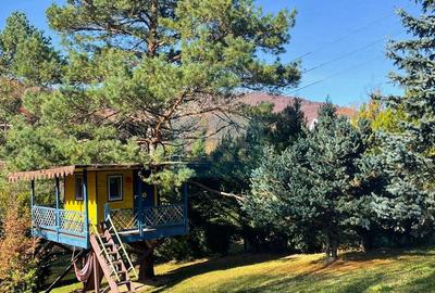 Casă cu 5 camere cu Garaj în Văliug - 31