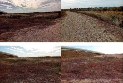 Teren extravilan Albota cota parte 3/8 . ID: R2832826 - 8