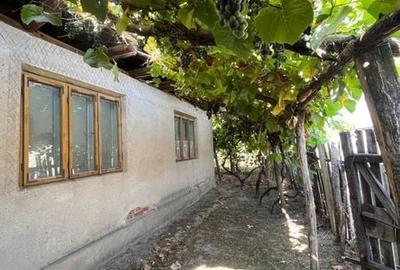 Casă cu 4 camere cu Teren 100 Mp în Rogova - 3