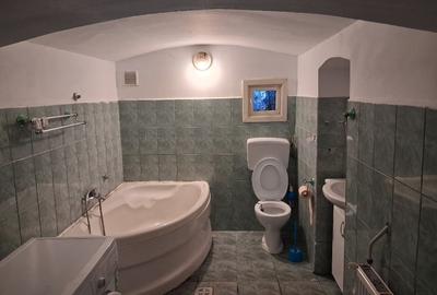 Apartament cu 2 camere nedecomandat, mobilat în Sinaia - 8