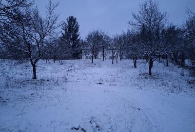 Teren Construcții intravilan de 5950 mp, în Central - 15