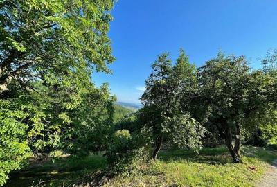 Teren de 9409 mp, în Roșia - 4