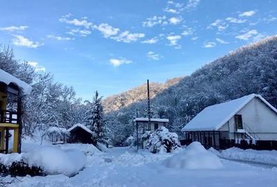 Teren pentru investitii 11.000 mp - 32