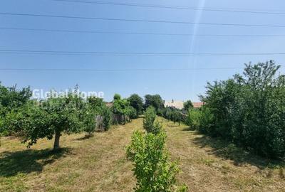 800MP Teren Intravilan | Prahova - Cornu De Jos | Toate Utilitatile Prezente - 4