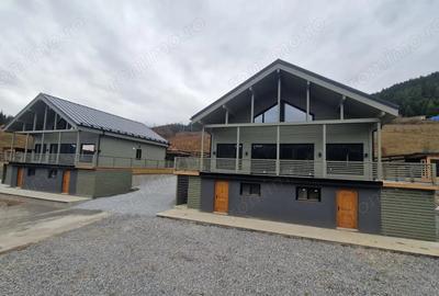 Vila de vis la Toplita in Vagani - 2