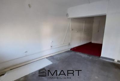 Casa spatioasa si curte zona Terezian - 20