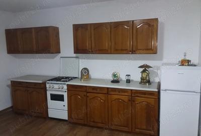 Casa cu teren foarte mare in Halmagiu - 2