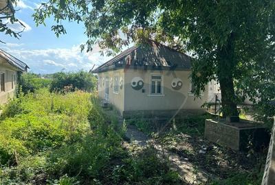 Teren Construcții intravilan de 3765 mp, în Bodeștii de Jos - 8