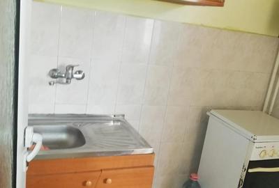 Garsoniera Hipodrom-Pietatii - 3