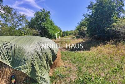 Teren 6200 mp, intravilan, sat Bogesti, comuna Pogana - 3