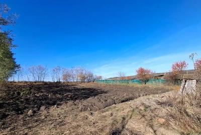 Casă cu 3 camere cu Teren 2000 Mp în Sărmășel - 2