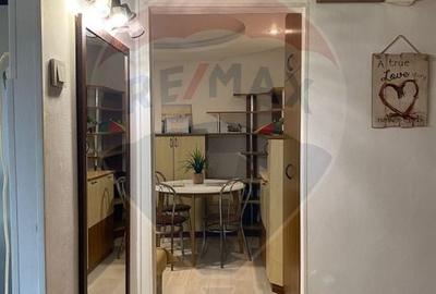 Apartament cu 3 camere decomandat, mobilat în Alfa - 12
