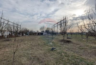 Teren agricol intravilan de 2500 mp, în Nicolae Grigorescu - 3