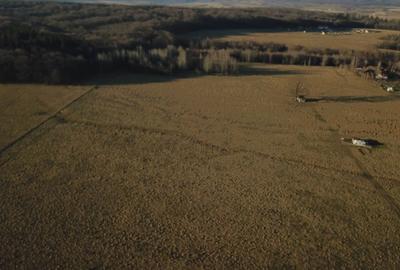 Teren de 12000 mp, în Vlădeni - 6