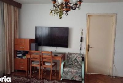 Apartament cu 2 camere decomandat, mobilat în Brazda lui Novac - 4