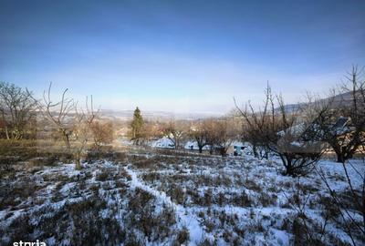 Casă cu 5 camere cu Teren 4000 Mp în Răducăneni - 5