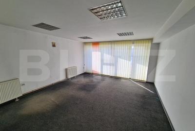 Casa, proprietate pretabila pentru sediu de firma + hala productie - 11