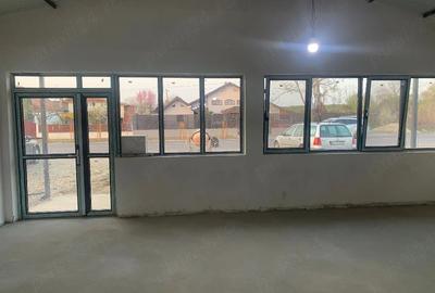 Spațiu comercial, de 190 mp, în Crângurile - 4