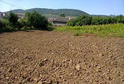 Teren de 3200 mp, în Babadag - 1