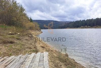 Proprietate unica! Teren generos cu iesire la lac! - 15