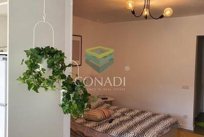 Garsoniera renovata modern str Nada Florilor - Teiul Domnei - 17