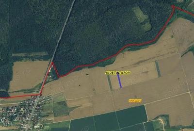 Teren extravilan Snagov, ID: R2884549 - 5