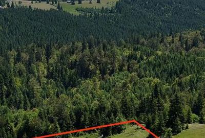 Teren de 3500 mp, în Tiha Bârgăului - 10