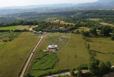 Teren 9,900mp Berinta cu deschidere la 2 drumuri.
