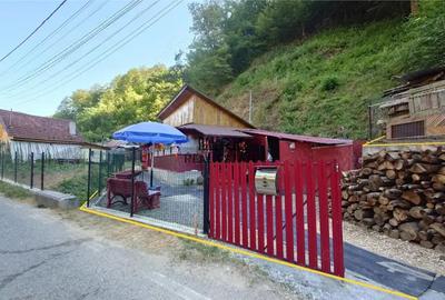 Casă cu 2 camere cu Teren 307 Mp în Criș - 1