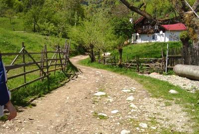 Teren de 25000 mp, în Moieciu - 4