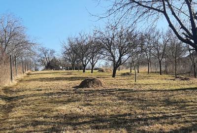 Teren de vanzare in Turda - 3