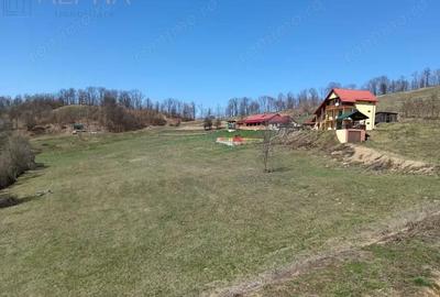 Spațiu comercial, de 420 mp, în Strâmba - 15