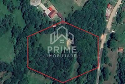 Teren 12000 mp in intravilanul Strungari pentru cabana, A-frame sau retreat. - 1