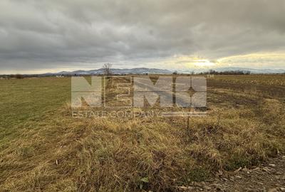 Teren agricol extravilan de 8000 mp, în Vicovu de Sus - 5