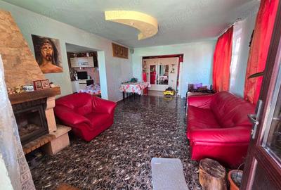 Casă cu 6 camere cu Teren 2000 Mp în Săvinești - 8