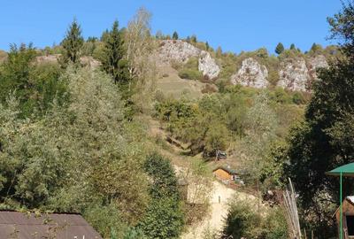 Teren de 2500 mp, în Dâmbovicioara - 3