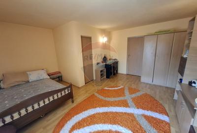Casa / Vila cu 5 camere de vanzare in zona Brestei - 10